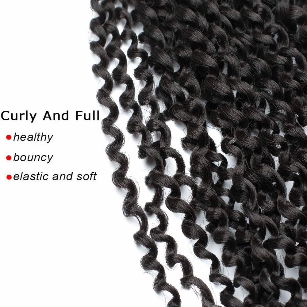 12 Inch Passion Twist Hair Water Wave Crochet Braids for Black Women 6 Packs Short Bohemian Curly Hair for Passion Butterfly Twist Crochet Hair(12 Inch, 4#)