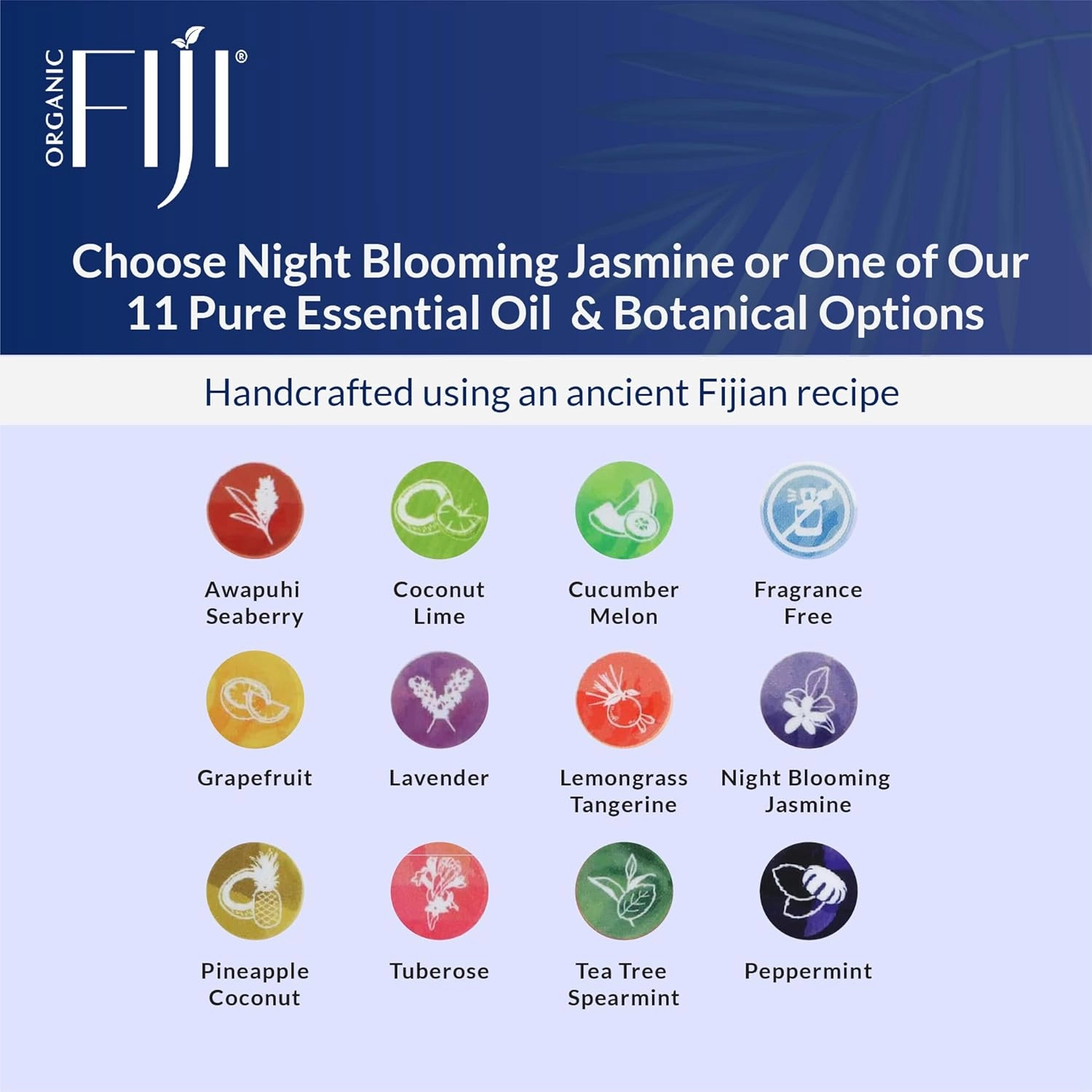"Coco Fiji Soap Bar for Face and Body Infused With Organic Coconut Oil, Night Blooming Jasmine Essential Oil, Natural Soap for Moisturizing & Pore Purifying Skin, 7 oz, Pack Of 3 "
