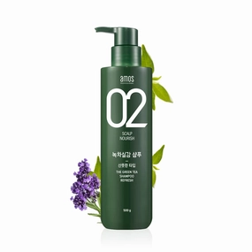 AMOS PROFESSIONAL The Green Tea Shampoo Refresh [For Oily Scalp] 17.6oz (500g) | Anti-Hair Loss Korean Hair Growth Shampoo for Cleanse Excess Sebum
