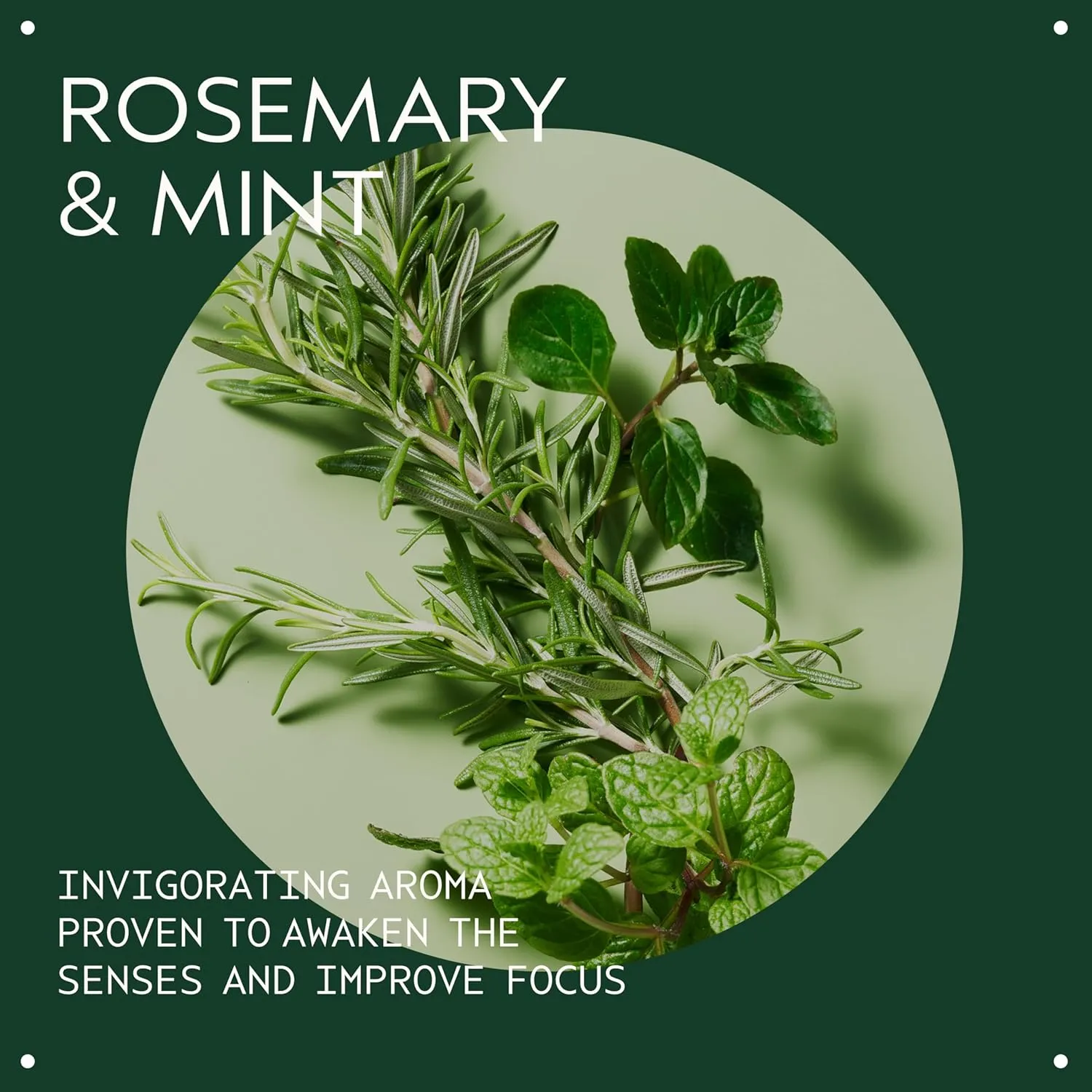 Aveda Rosemary Mint Purifying Shampoo | Clarifying Shampoo | Adds Shine | for Normal to Oily Hair, Fine to Medium Hair Types | 97% Naturally Derived*