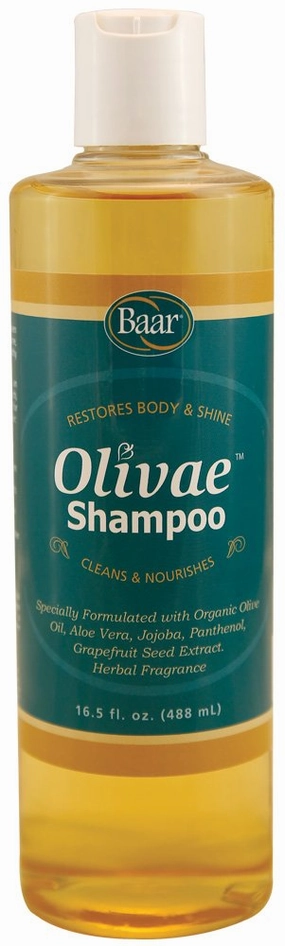 Baar Olivae Shampoo, Formulated with Organic Olive Oil to Nourish & Cleanse, Infused with Aloe Vera, Jojoba Oil & Proteins to Repair Dry Damaged Hair & Add Volume, 16.5 fl oz