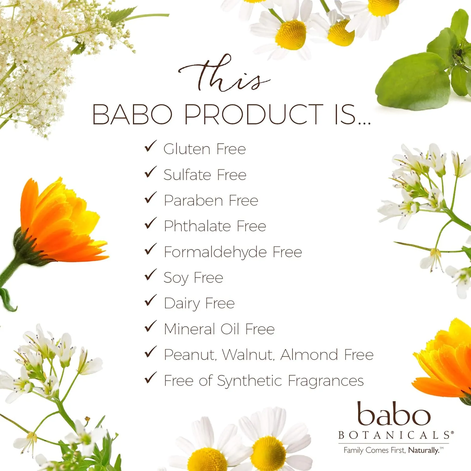 Babo Botanicals Smoothing Berry 2-in-1 Shampoo & Wash - Detangling & Nourishing - Eliminates Frizz & Prevents Static - Evening Primrose Oil - For all ages - Light Berry Fragrance- Vegan