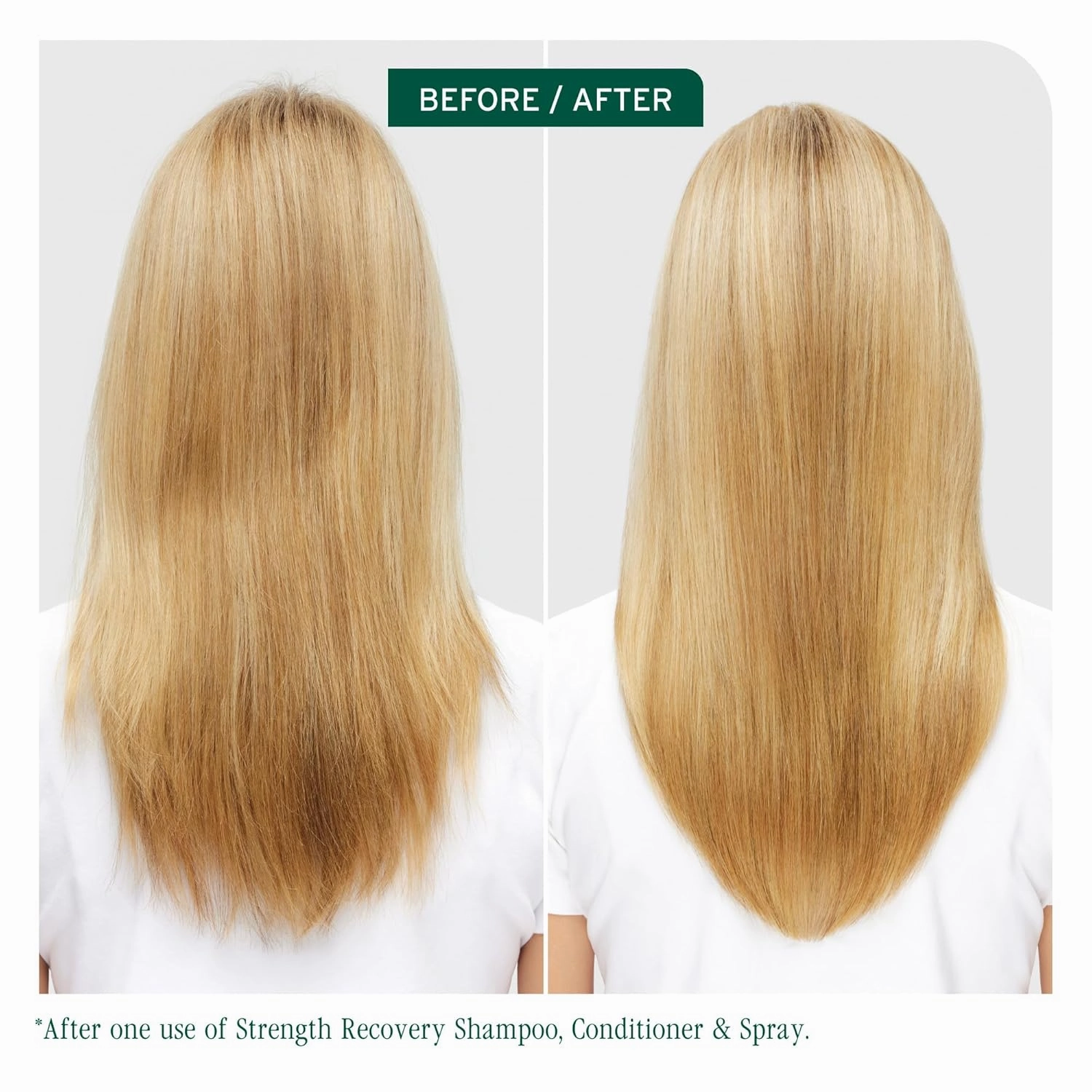 Biolage Strength Recovery Shampoo - Reduces Breakage & Detangles, For Damaged Hair, With Olive Squalane & Vegan Proteins, Paraben & Mineral Oil-Free, Packaging May Vary