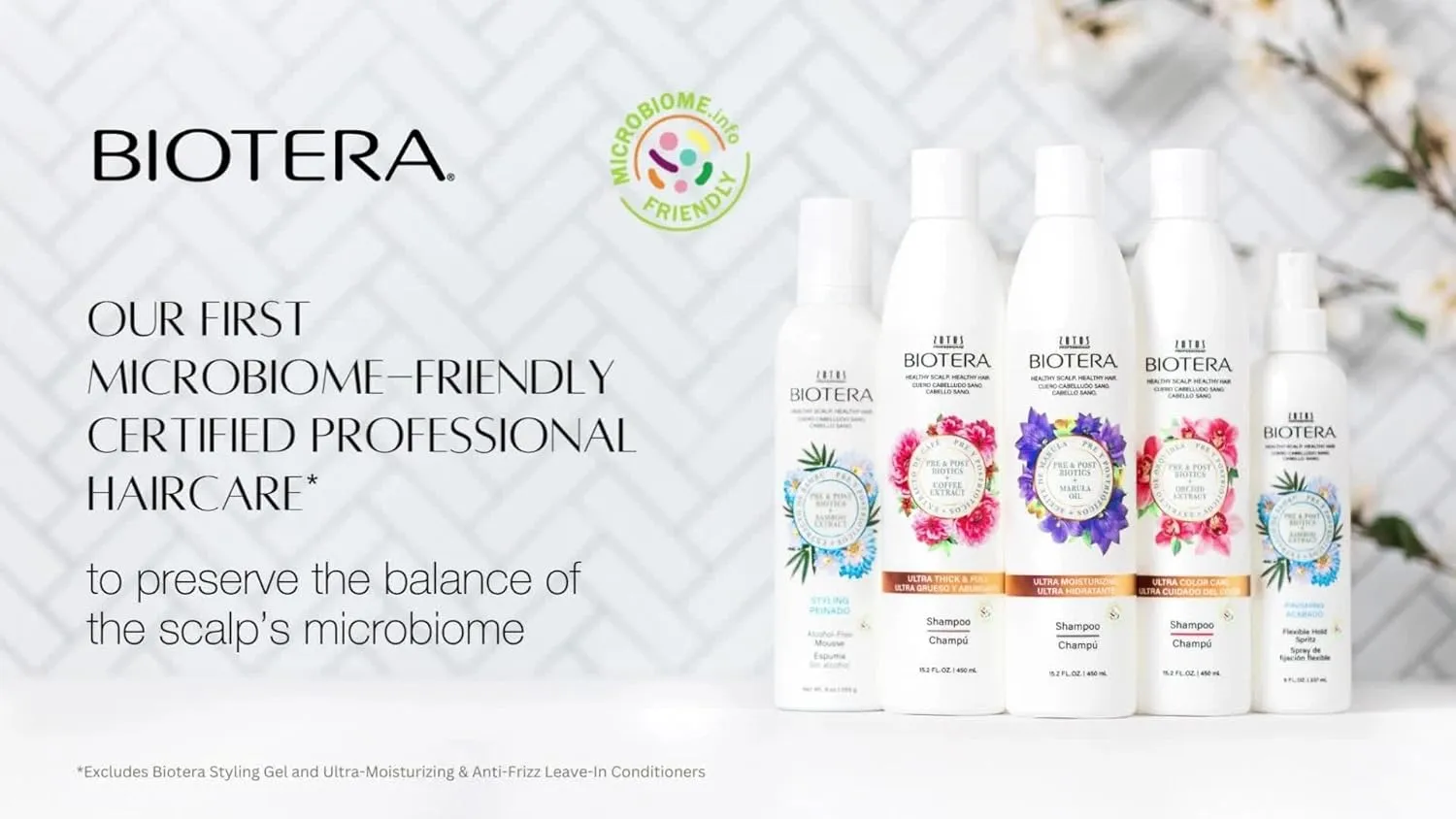 Biotera Anti Frizz Smoothing Shampoo | Smooths & Controls Frizzy, Unruly Hair | Microbiome Friendly | Vegan & Animal Test Free | Paraben Free | Color-Safe