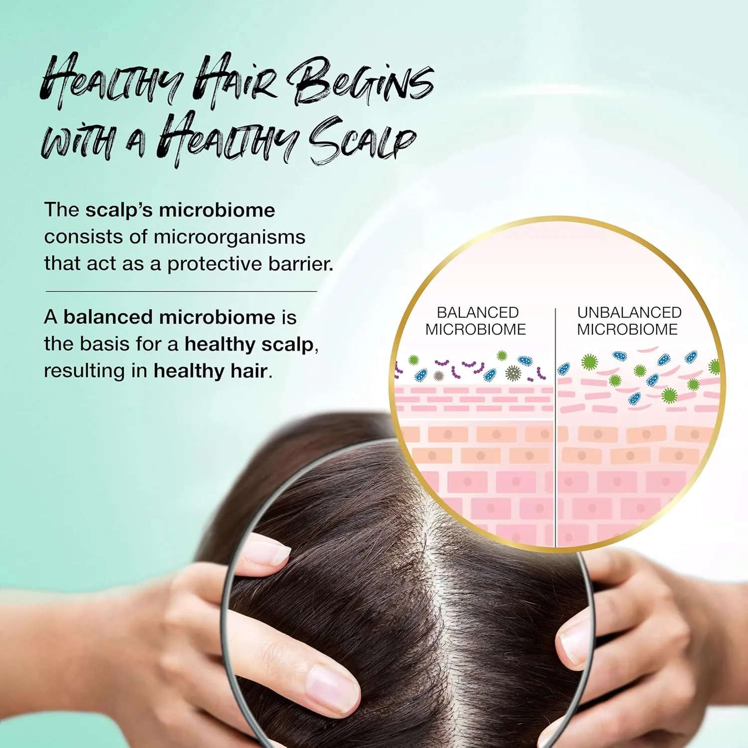 Biotera Long & Healthy Strengthening Shampoo | Strengthens Long, Growing Hair | Microbiome Friendly | Vegan & Animal Test Free | Paraben Free | Color-Safe