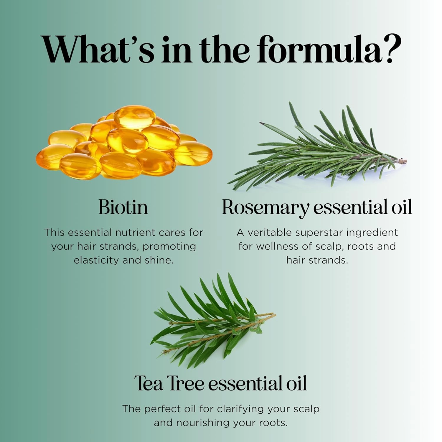 Biotin Rosemary Shampoo for Hair Growth - Sulfate Free, Volumizing Rosemary Essential Oil for Fine, Weak & Dull Hair (16 Fl Oz)