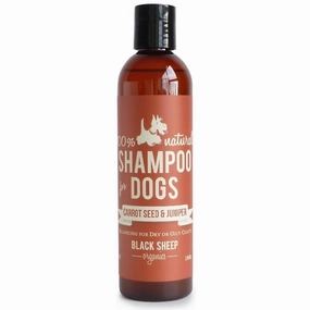 Black Sheep Organics Carrot Seed & Juniper Organic Shampoo for Dogs (8oz bottle)