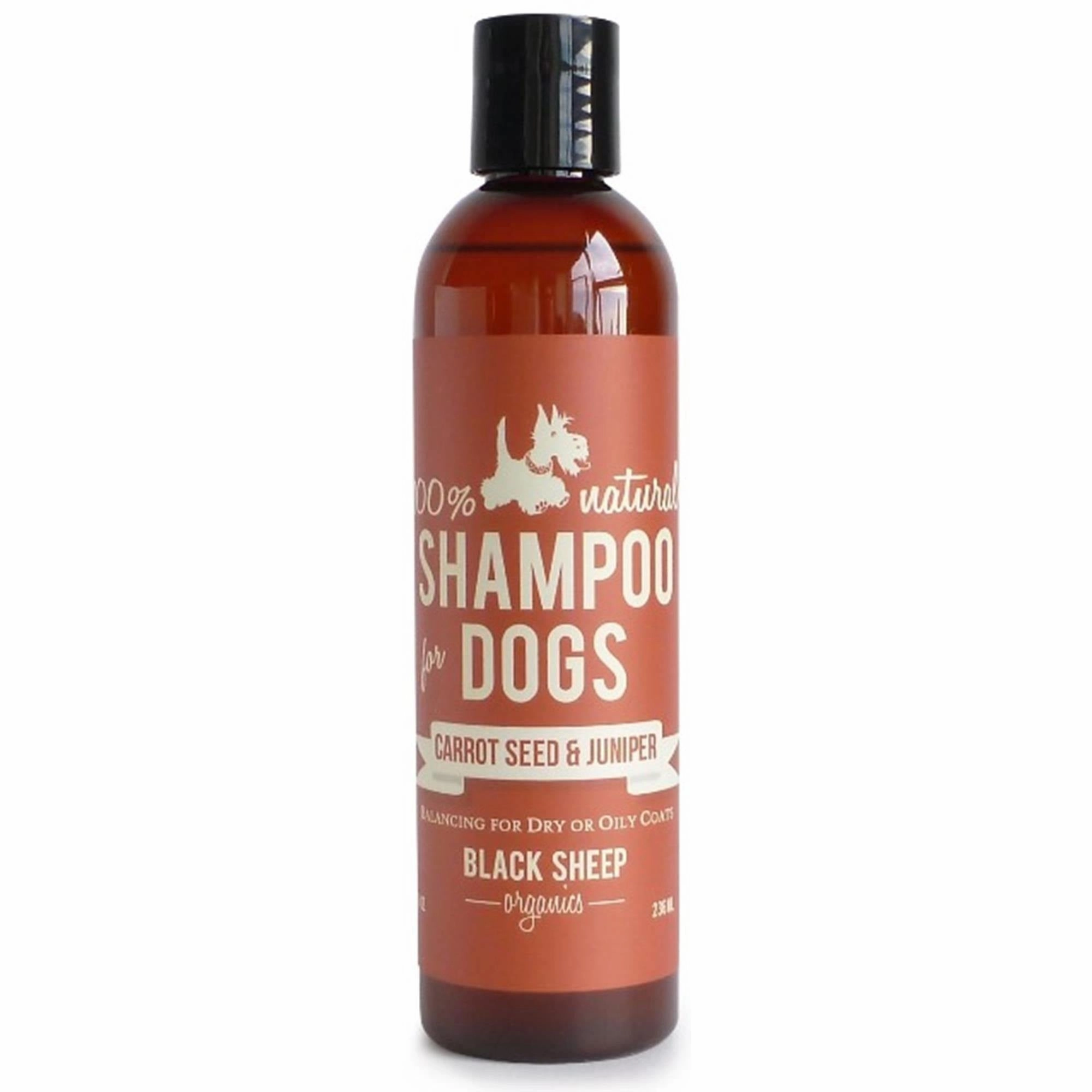 Black Sheep Organics Carrot Seed & Juniper Organic Shampoo for Dogs (8oz bottle)