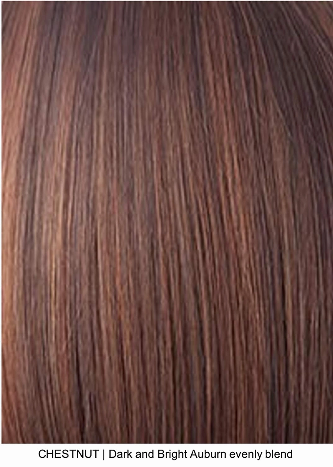 BRANDI Double Mono Synthetic Wig by Amore, 5PC Bundle: Wig, 4oz Mara Ray Enriched Shampoo, Conditioner, Wide Tooth Comb, and 19 Page Belle of Hope Guide (Chestnut)