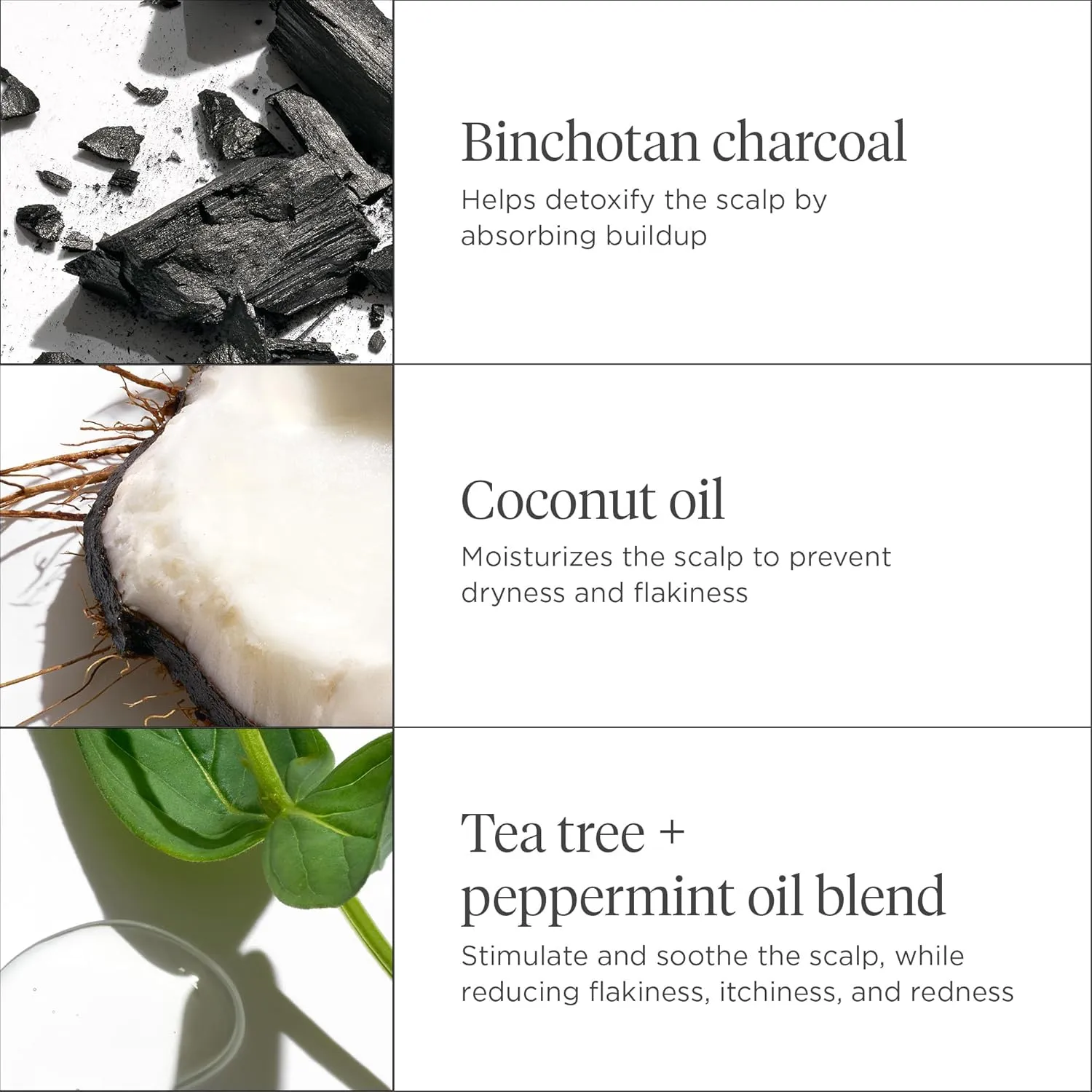 Briogeo Scalp Revival Charcoal   Coconut Oil Micro-Exfoliating Shampoo, Treatment for Dry & Itchy Scalp, Clarifying Shampoo for Build Up, Scalp Scrub for Oily Scalp, Vegan, Cruelty-Free