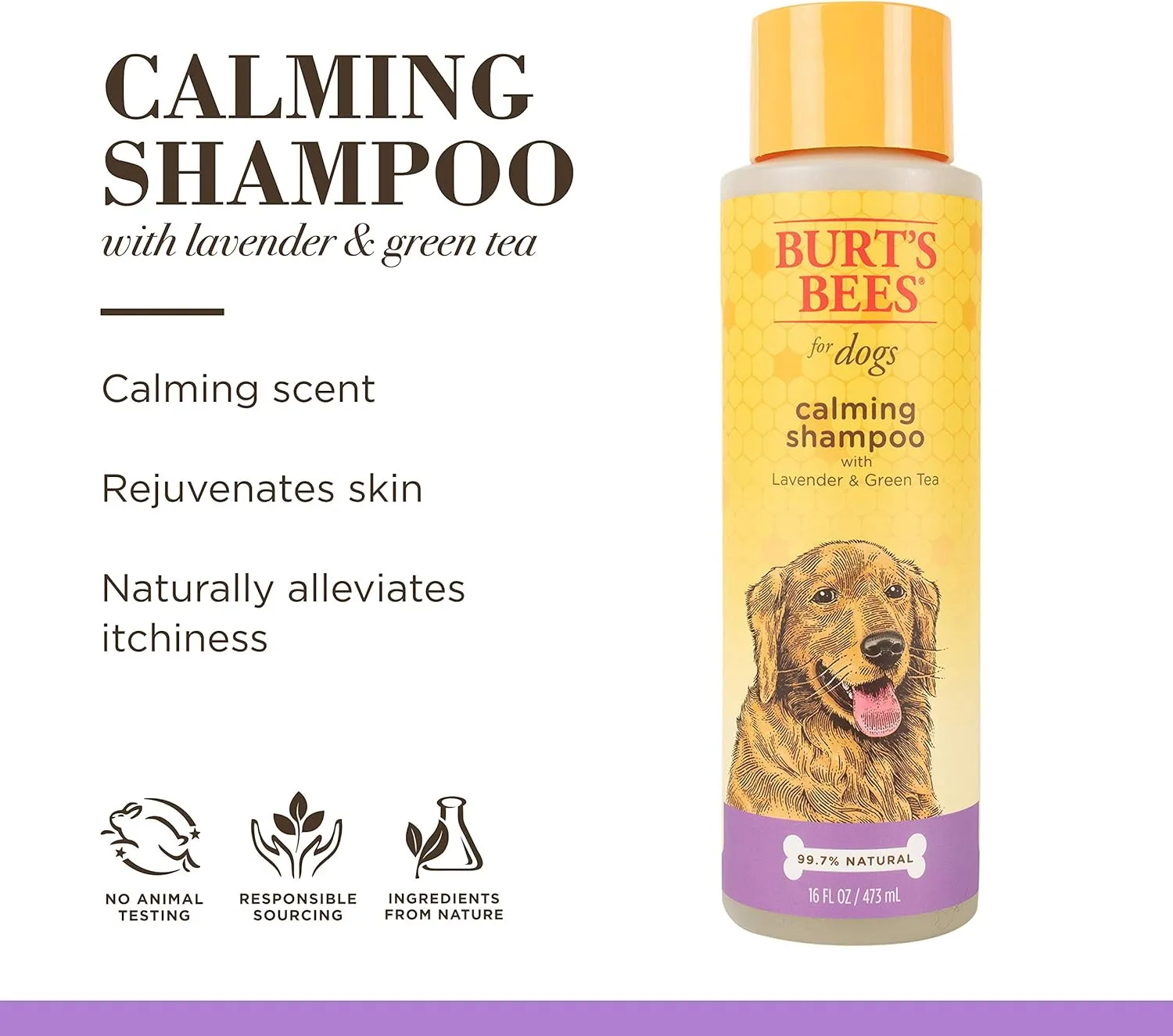 Burt's Bees for Pets Calming Dog Shampoo with Lavender and Green Tea, 2 Pack, 95% Natural Origin Formulas, Calming Lavender Dog Shampoo - Gentle Dog Shampoo, Best Dog Shampoo, Lavender, 2pk, 16 oz