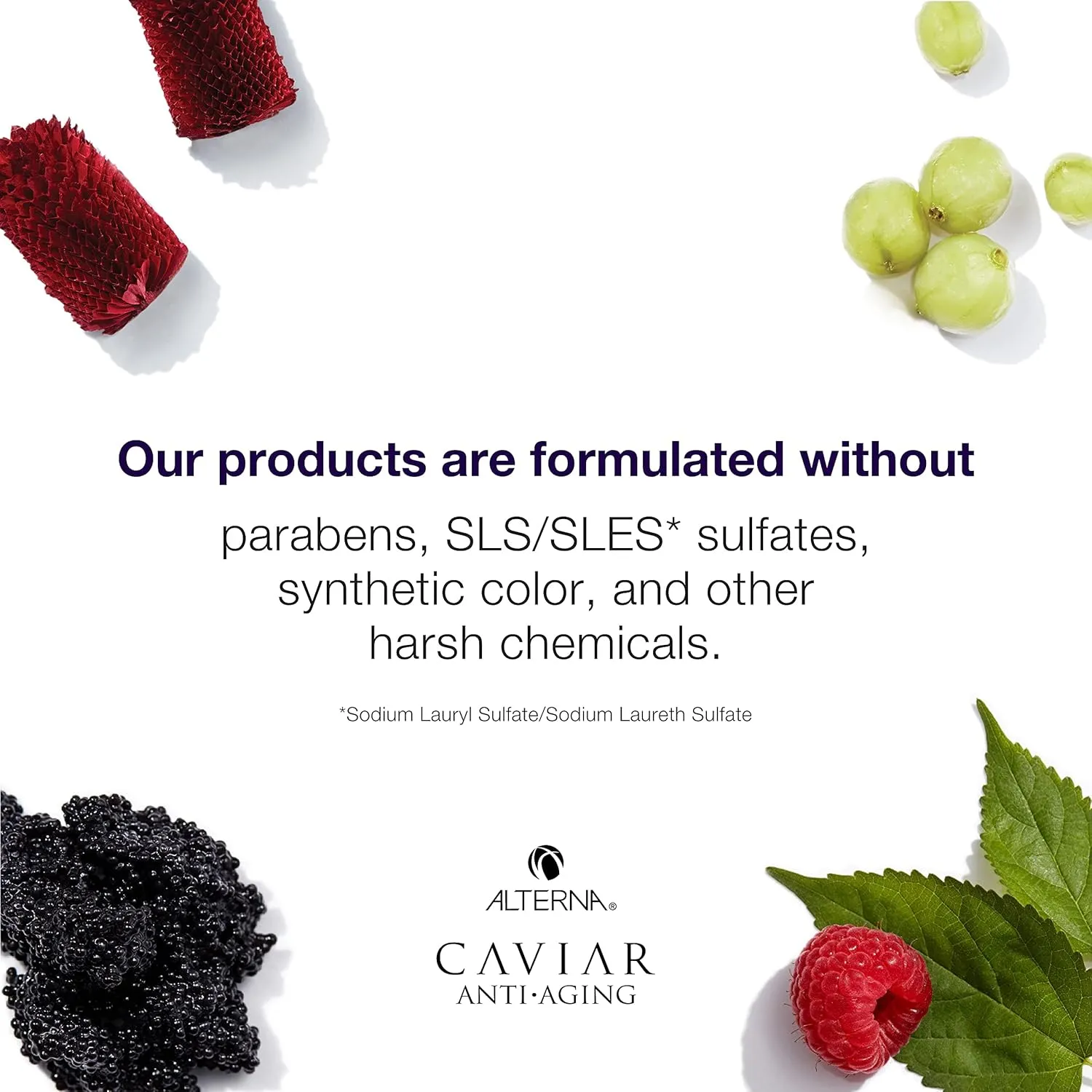 CAVIAR Anti-Aging Infinite Color Hold Shampoo | For Color Treated Hair | Minimizes Color Fade | Sulfate Free