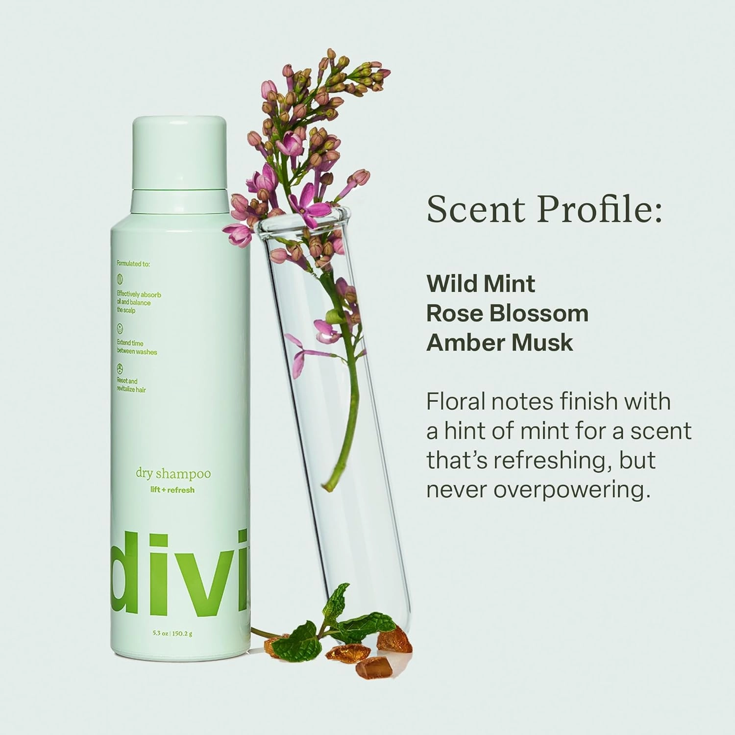 Divi Dry Shampoo Spray for Women - Formulated to Absorb Oil, Balance the Scalp and Extend Time Between Washes - Free of Benzene, Butane, Propane and Talc, 5.3oz (2 Pack)
