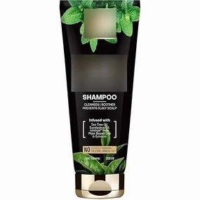 GO Anti Dandruff Shampoo, 200ml with Ichthyol Pale, Tea Tree & Eucalyptus Oil to Soothe & Prevent Flaky Scalp, No Parabens & Sulphates, Vegan & Cruelty Free