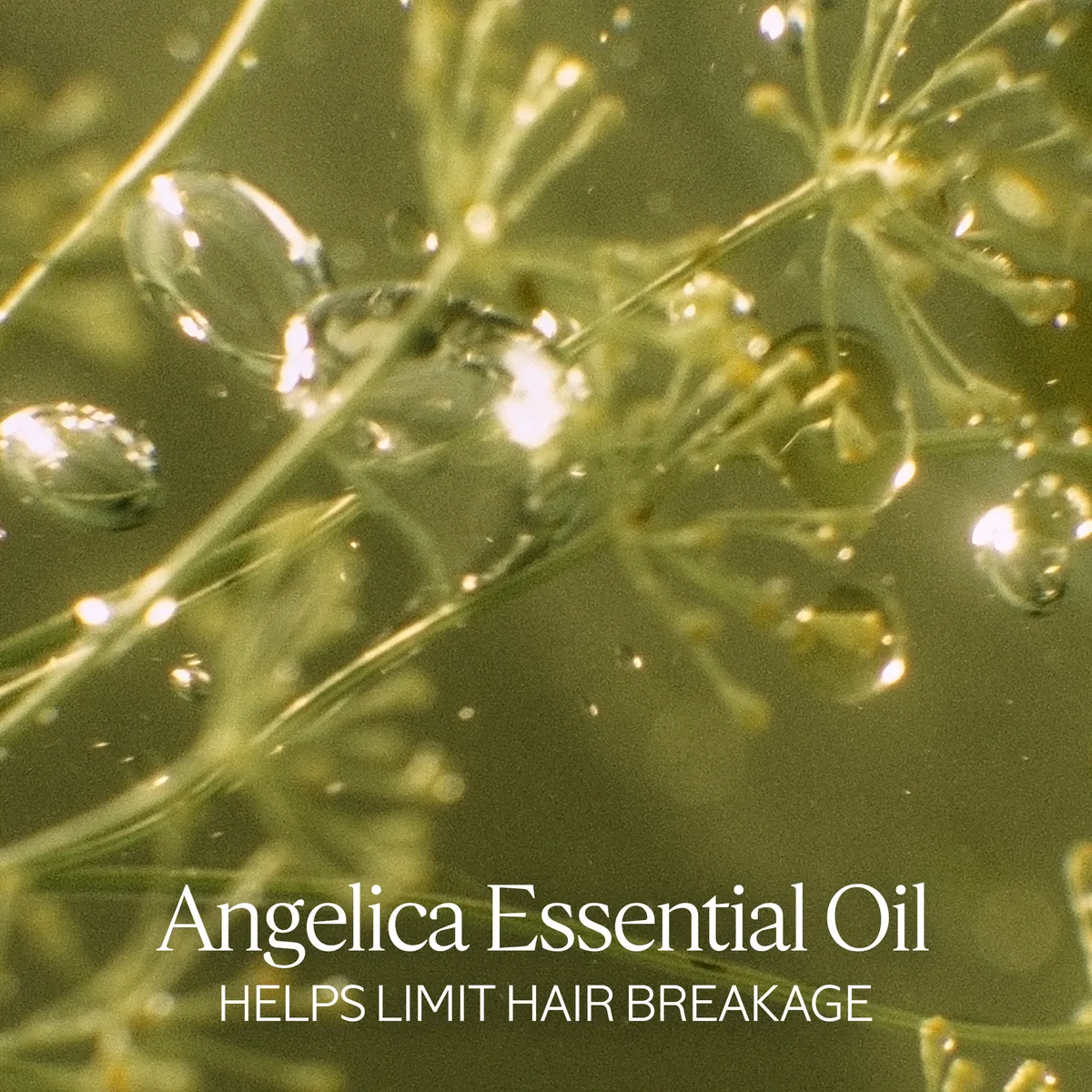 Intensive Repair Shampoo Eco-Refill