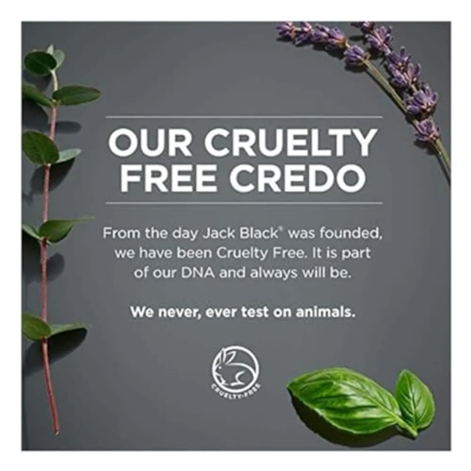 Jack Black Body & Hair Cleanser – Mens Body Wash, Mens Shampoo, Skin Care, Hair Care, Body Wash Men, Sulfate–Free