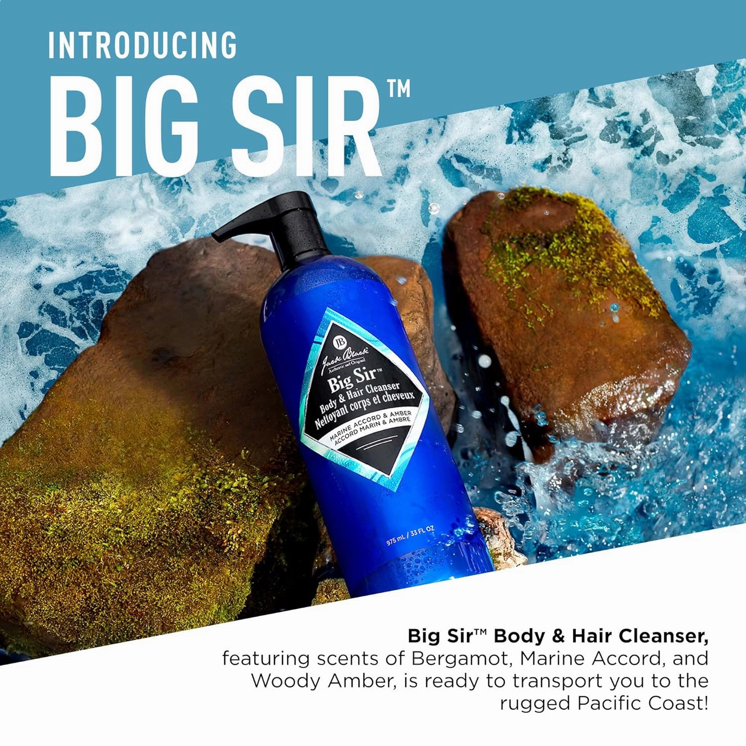 Jack Black Body & Hair Cleanser – Mens Body Wash, Mens Shampoo, Skin Care, Hair Care, Body Wash Men, Sulfate–Free