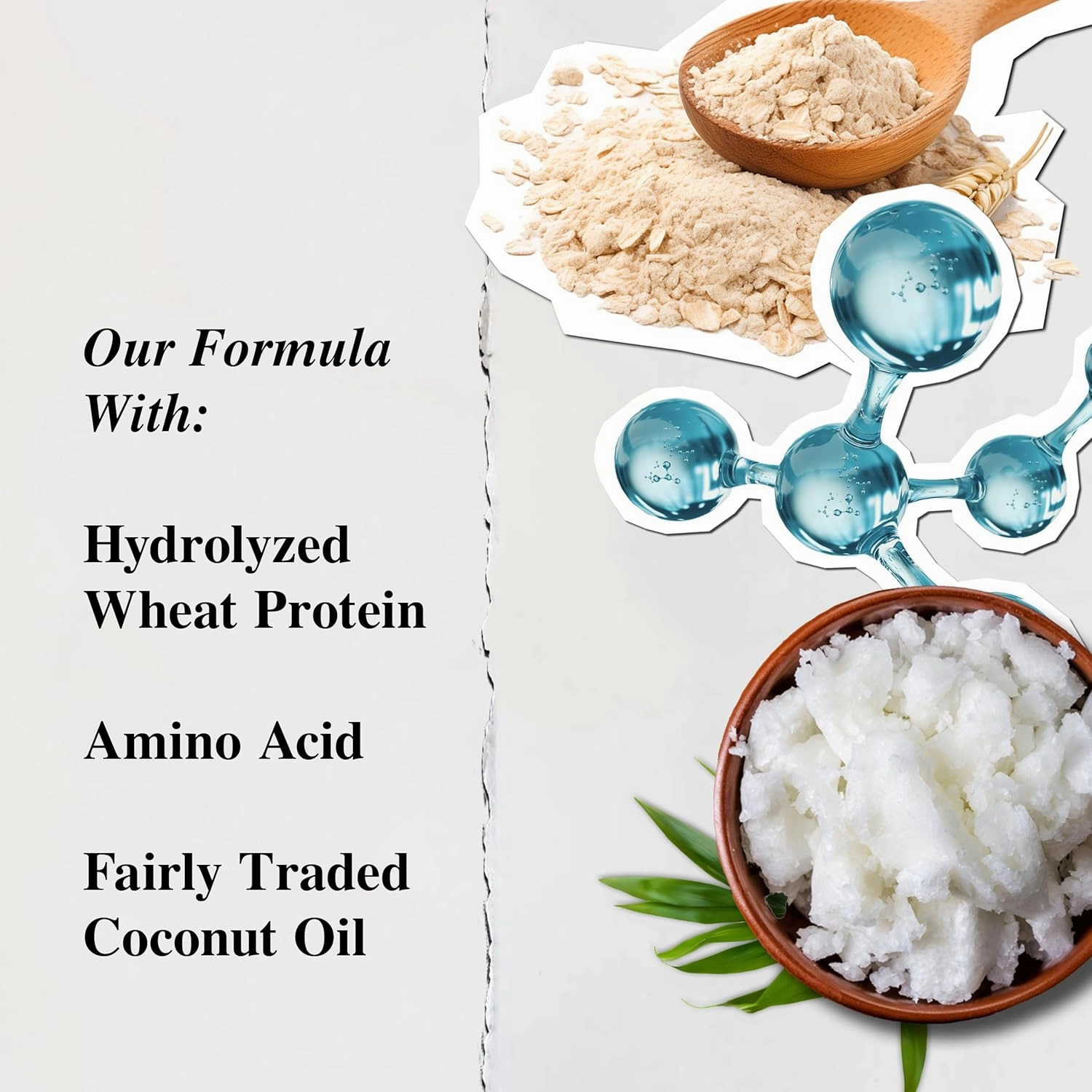 Kiehl's Amino Acid Shampoo, with Amino Acids and Coconut Oil to Clarify and Cleanse, Helps Strengthen Hair, Prevent Breakage, Without Compromising Hydration, Suitable for All Hair Types, Paraben-Free
