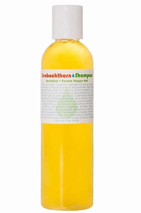 LIVING LIBATIONS - Organic Seabuckthorn Shampoo | Natural, Wildcrafted Clean Beauty (4 fl oz | 120 ml)