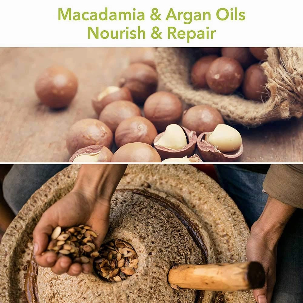 Macadamia Rejuvenating Shampoo Oil for Unisex - 33.8 oz Shampoo