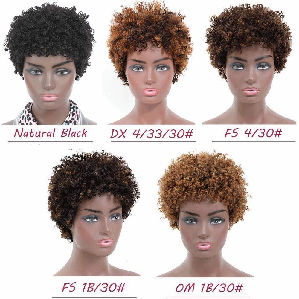 Ms Taj Short Afro Kinky Curly Human Hair Wigs for Black Women Brazilian Virgin Short Curly Afro Wigs None Lace 150% Density Unprocessed Afro Wig Human Hair Curly Machine Made (FS 4/30#, afro wig)