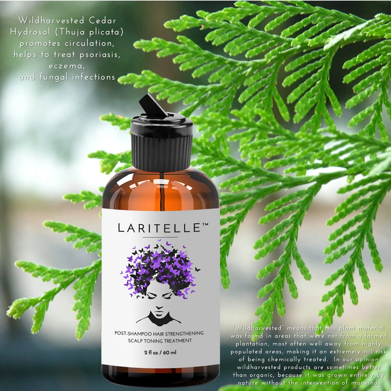 Organic Post-Shampoo Hair Strengthening & Scalp Toning Treatment for Men & Women 3 x 2 oz | Fortifying, Strengthening & Rejuvenating | Stops Hair Shedding, Promotes New Hair Growth