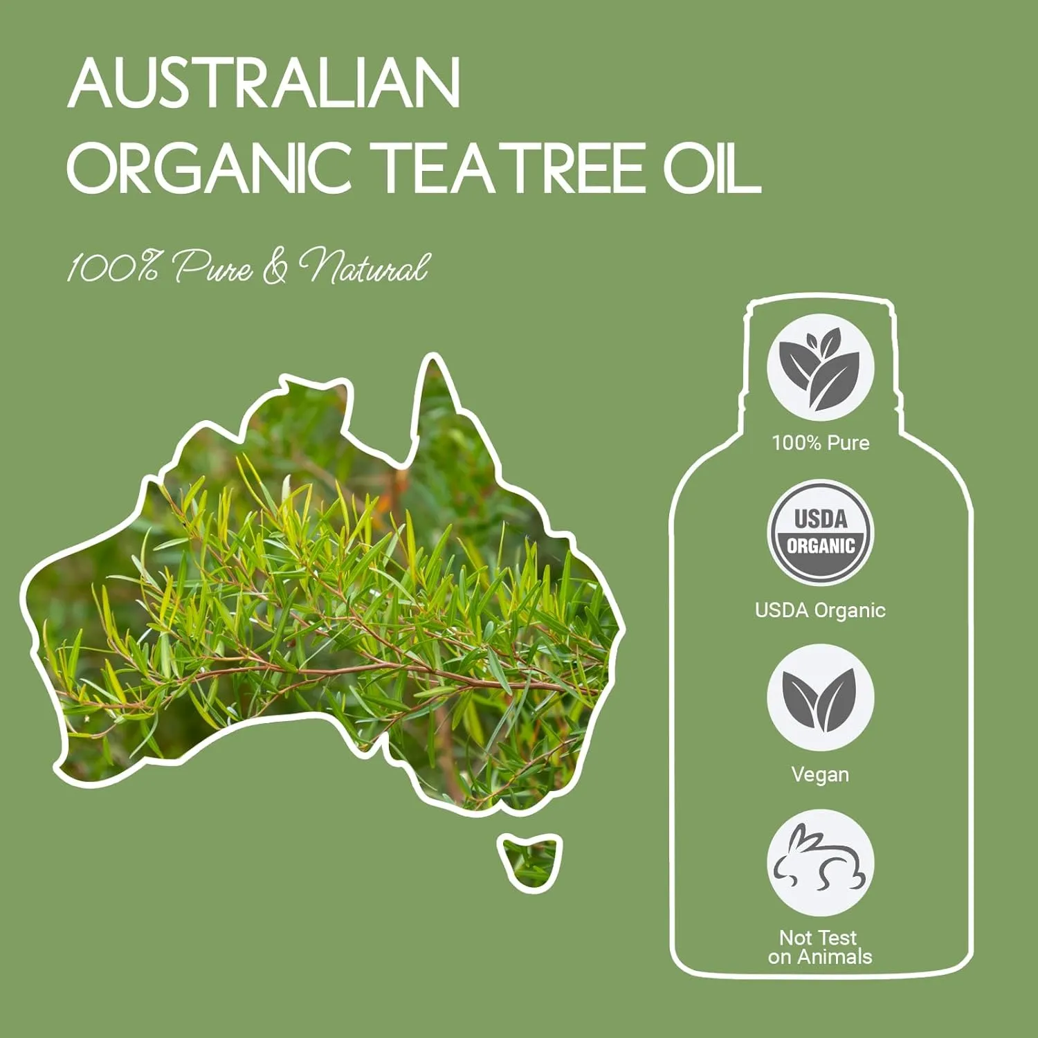 Organic Tea Tree Oil for Skin, Hair, Face, Scalp, Nails, 100% Pure Australian Tea Tree Essential Oil for Spray, Diffuser -1 Oz