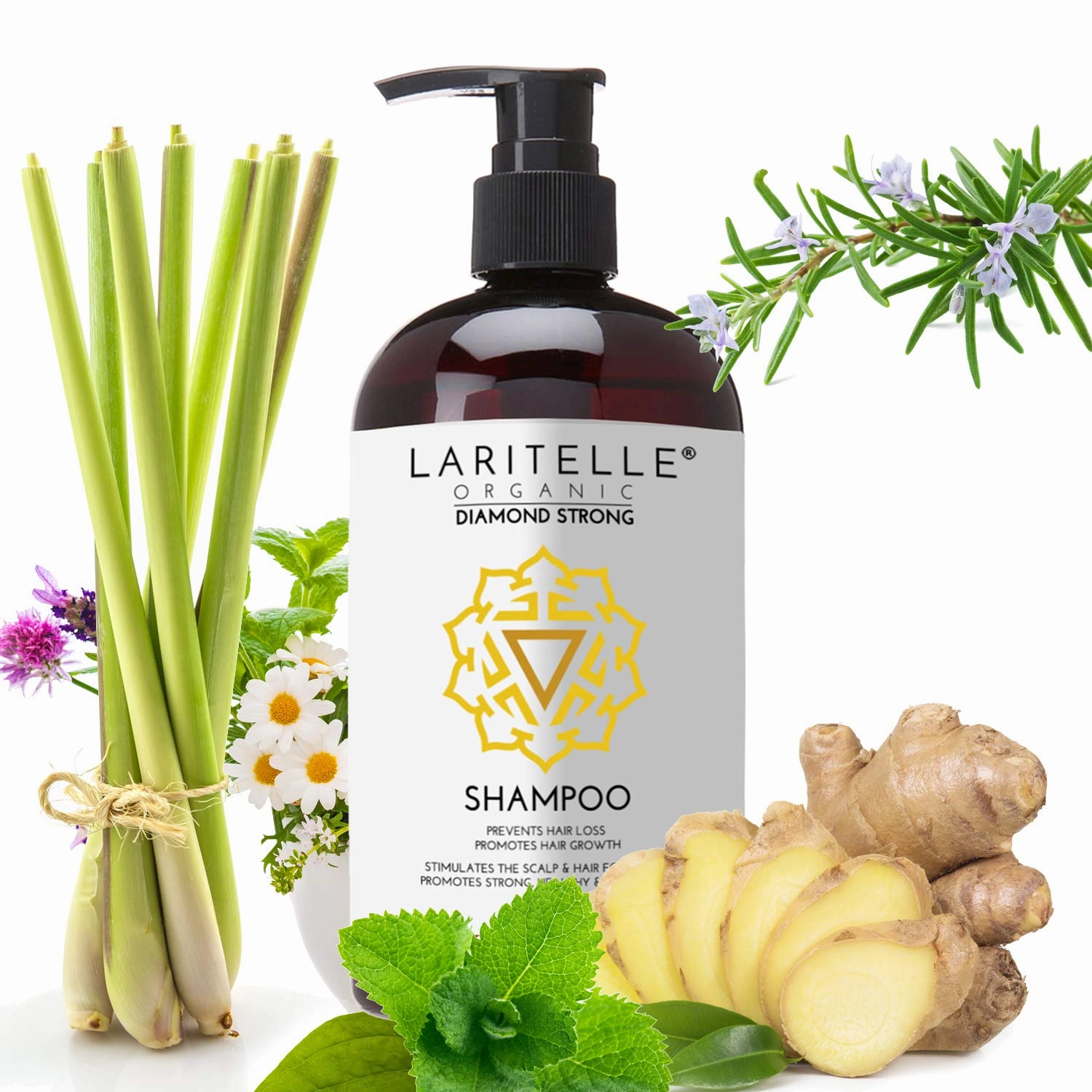 Organic Shampoo 17.5 oz. Argan Oil, Ginger, Cedarwood. Promotes Hair Growth, Prevents Hair Loss. GF