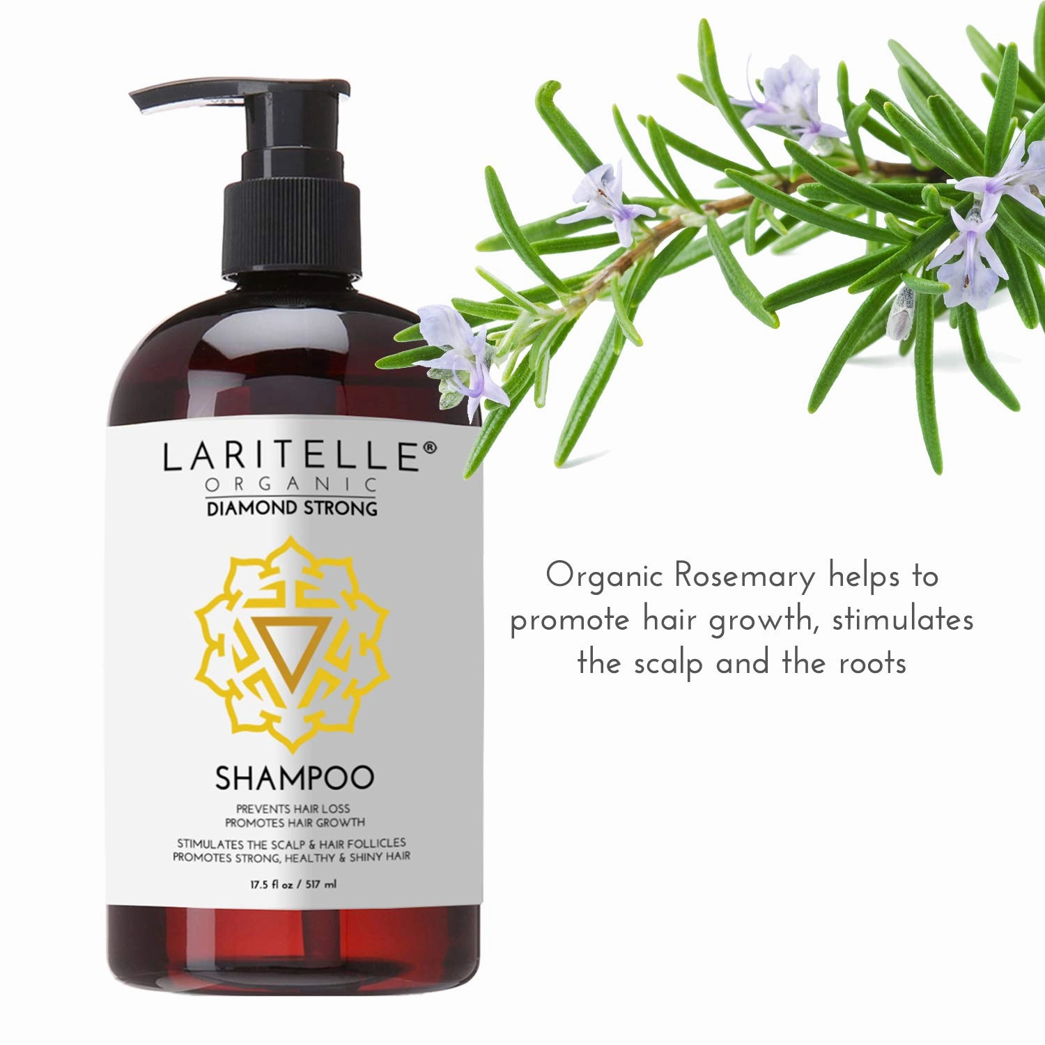Organic Shampoo 17.5 oz. Argan Oil, Ginger, Cedarwood. Promotes Hair Growth, Prevents Hair Loss. GF