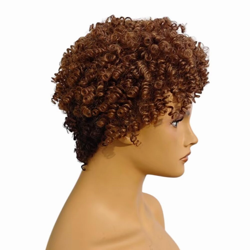 Pixie Cut Wig Short Wigs for Black Women Curly Wig Short Cut Wigs Short Curly Wig Afro Curly Funmi Wigs