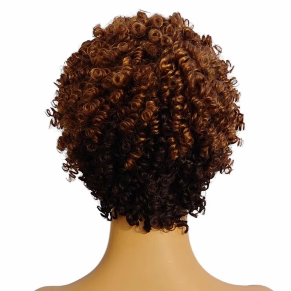 Pixie Cut Wig Short Wigs for Black Women Curly Wig Short Cut Wigs Short Curly Wig Afro Curly Funmi Wigs