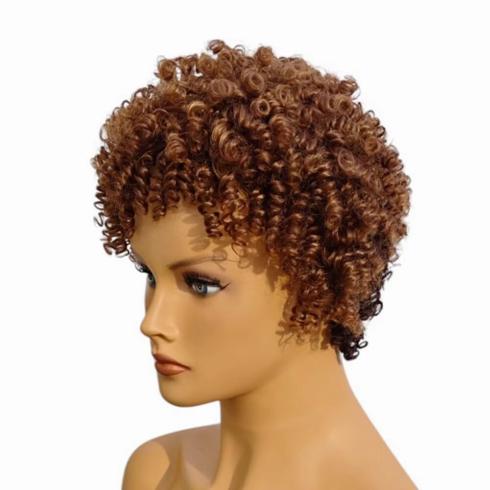 Pixie Cut Wig Short Wigs for Black Women Curly Wig Short Cut Wigs Short Curly Wig Afro Curly Funmi Wigs