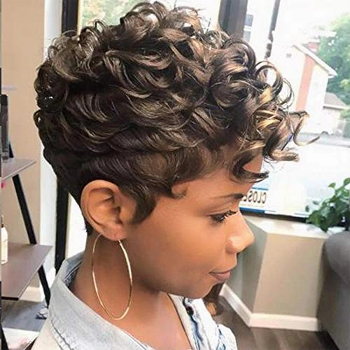 Pixie Cut Wig Short Wigs For Black Women Fluffy Curly Wig Short Cut Wigs Short Curly Wig Afro Curly Funmi Wigs Hair Replacement Wigs Hallowwen Cosplay Wig 33.0 Count