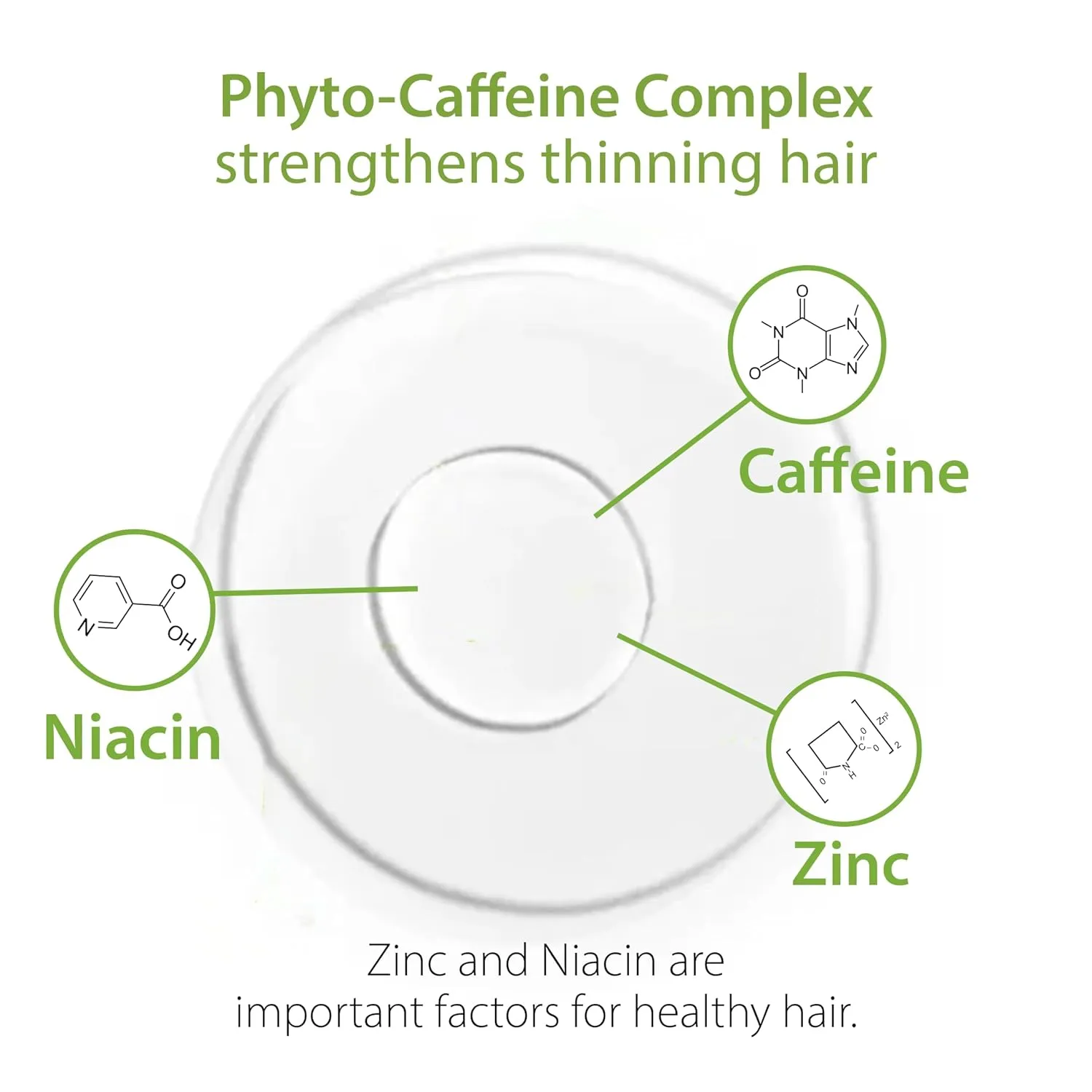 Plantur 39 Phyto-Caffeine Shampoo For Fine Brittle Hair, 16.9 Fluid Ounce (500 mL)