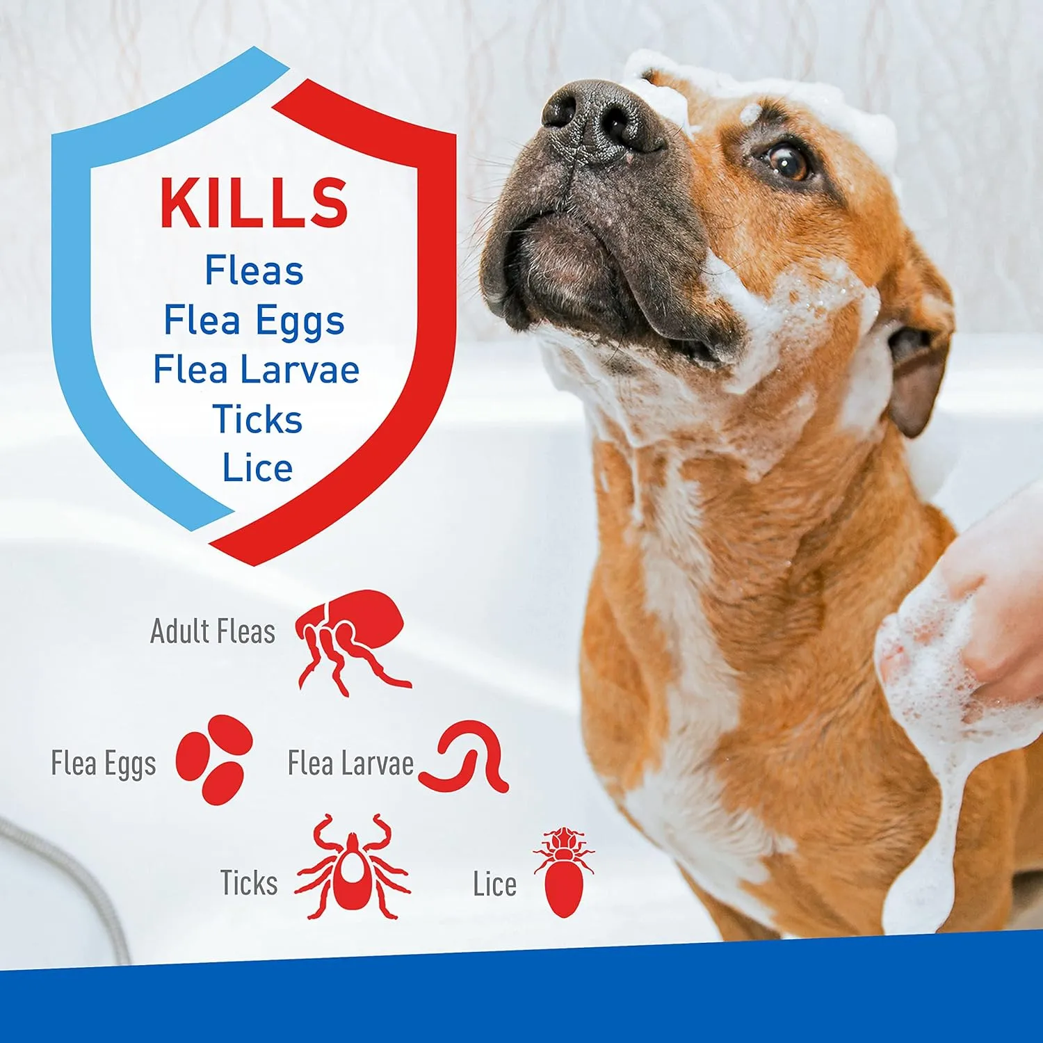Plus Flea & Tick Shampoo with Precor for Cats, Kittens, Dogs & Puppies Over 12 Weeks Of Age |Sensitive Skin Flea Treatment |Kills Adult Fleas, Flea Eggs, Ticks, and Lice |24 Oz, Pump Included