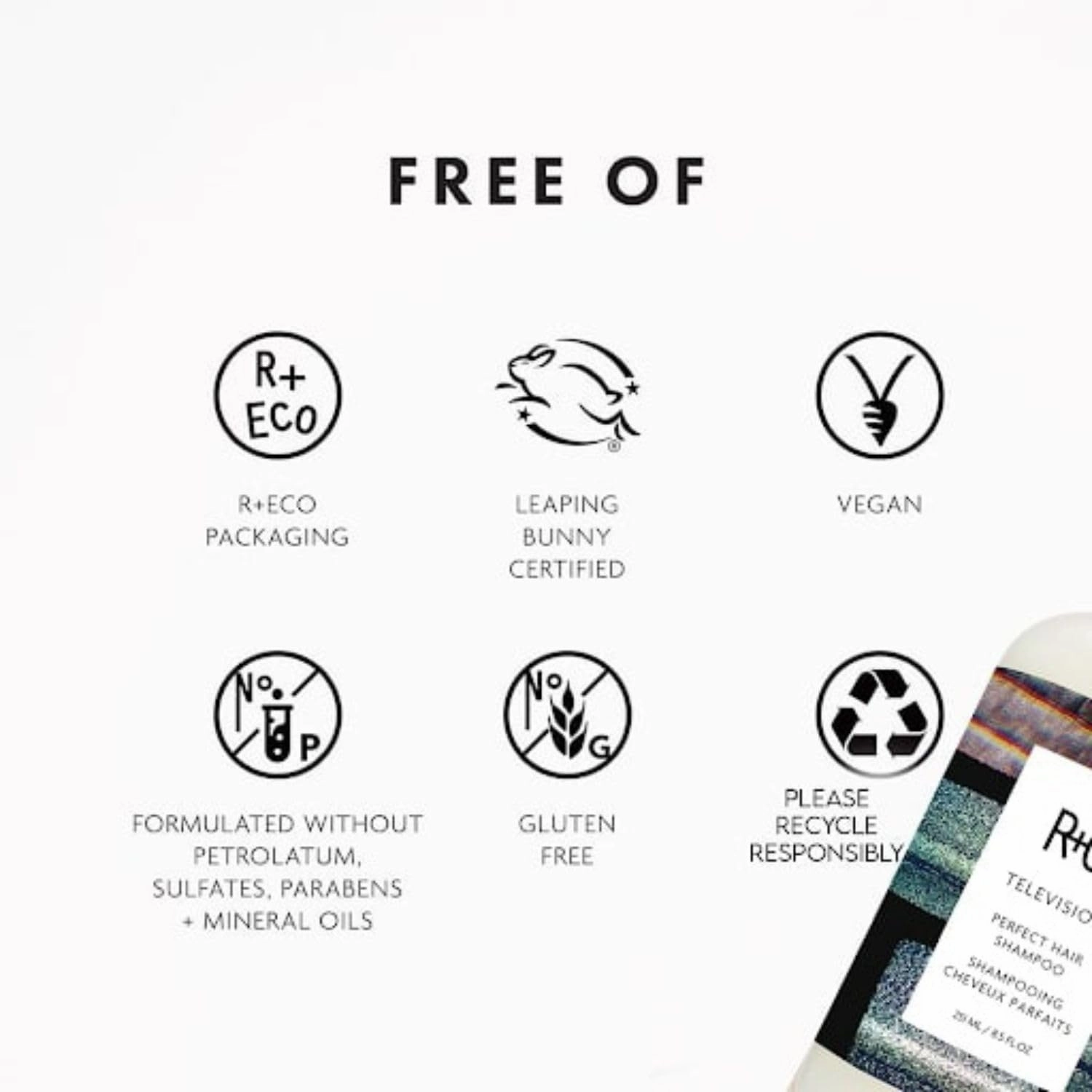 R Co Television Perfect Hair Shampoo | Body   Shine   Smoothing for All Hair Types | Vegan   Cruelty-Free |