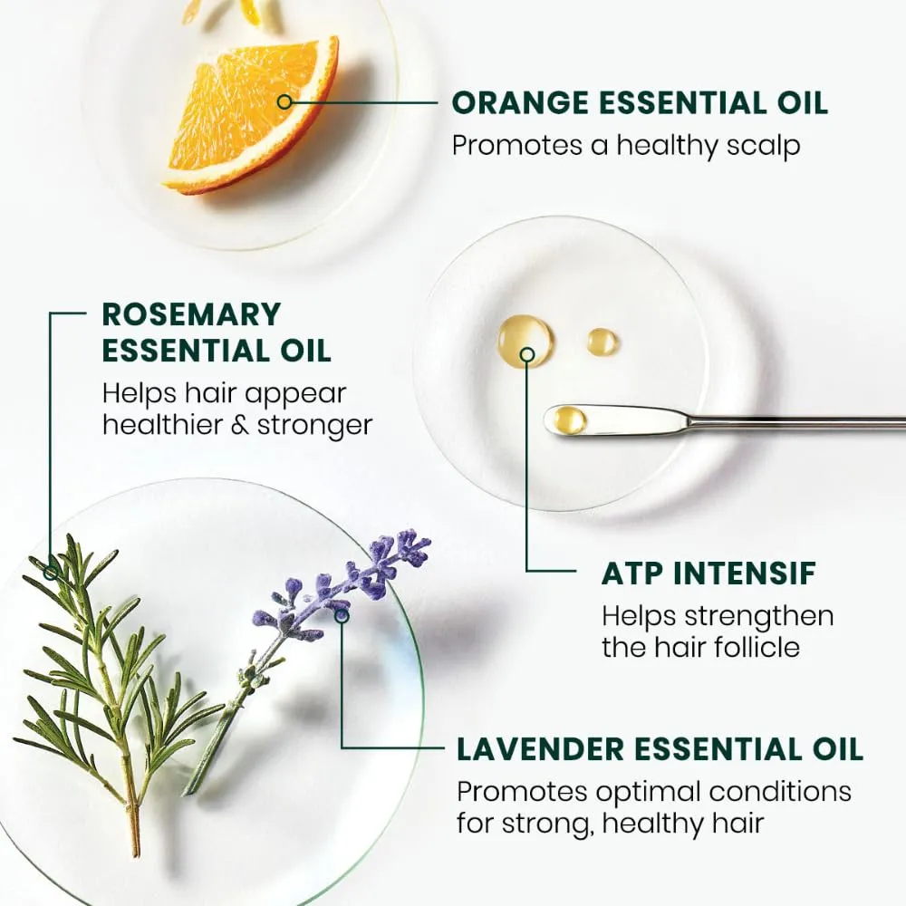 Rene Furterer Forticea Strengthening Revitalizing Shampoo - Formulated with Guarana Extract, Rosemary, Vitamin B3 and B5, - Sulfate, Paraben & Silicone Free