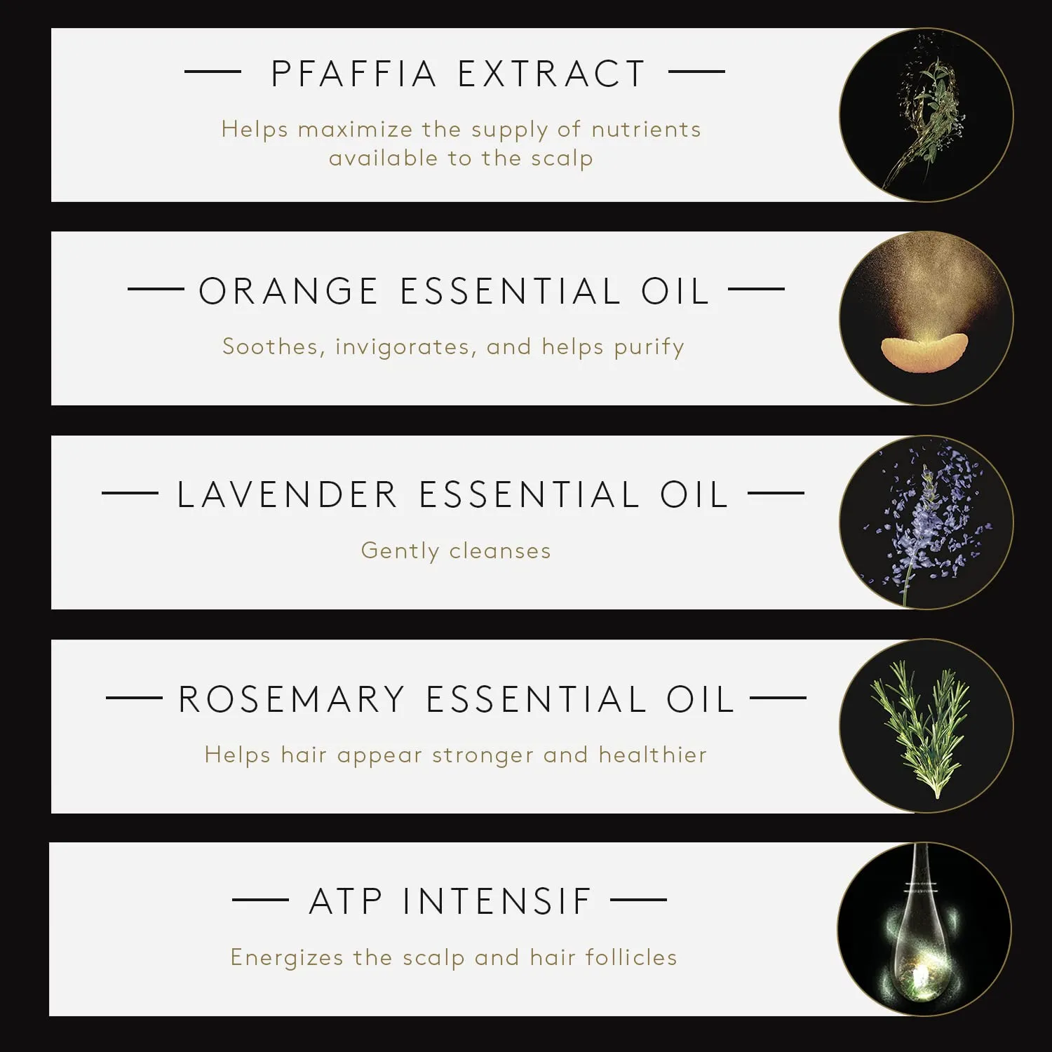 Rene Furterer TRIPHASIC Strengthening Shampoo - Thinning Hair - Fortify Hair's Strength - Scalp Nutrition - For Men & Women