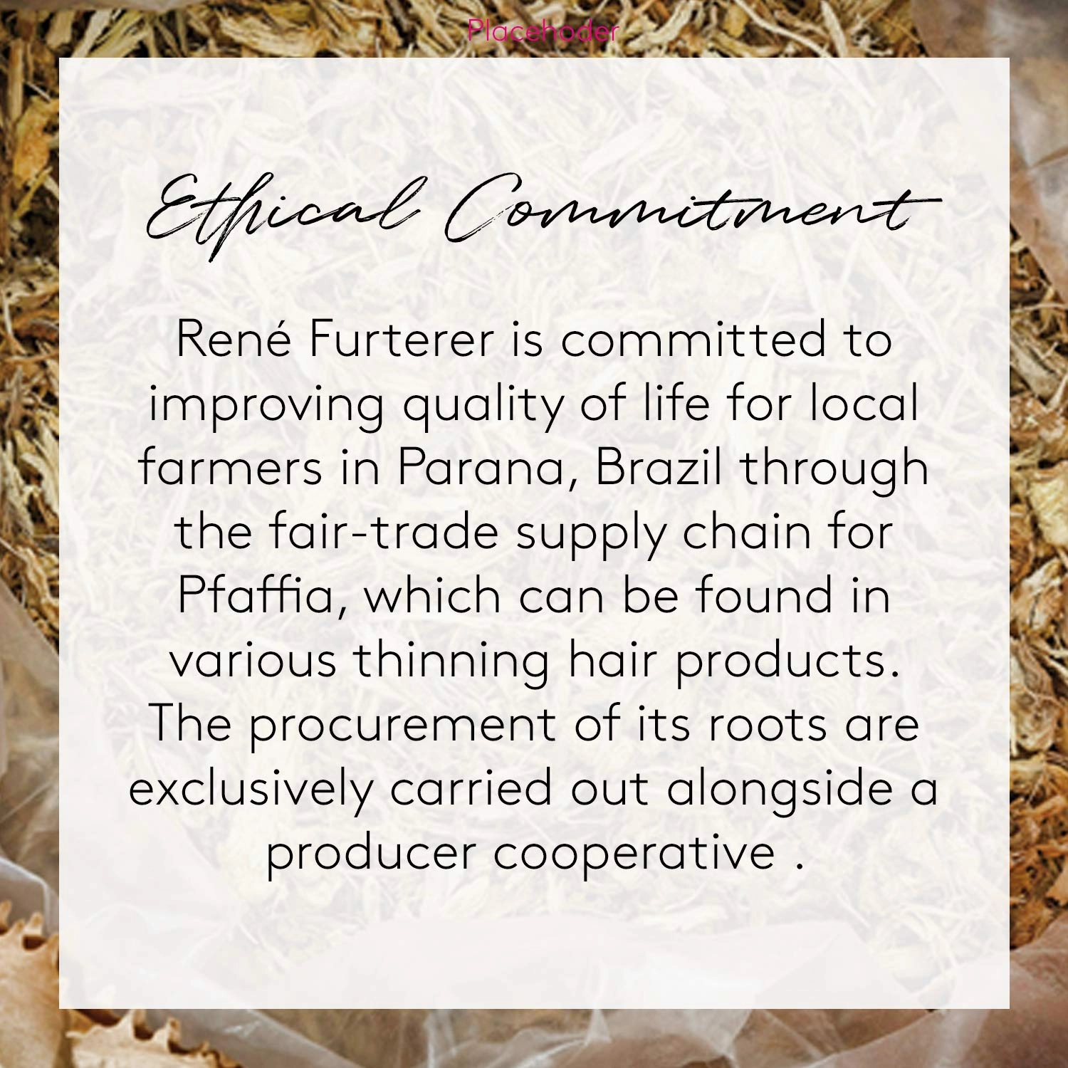 René Furterer TRIPHASIC Thickening Shampoo – For Thinning Hair – Improves hair density & strength – Scalp Nutrition – Rosemary Oil - For Men & Women - Color Safe