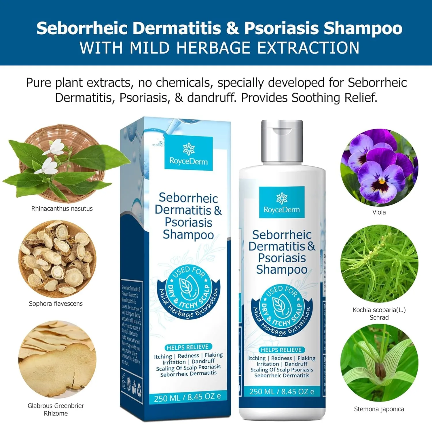 Roycederm Psoriasis Shampoo, Seborrheic Dermatitis Shampoo, Folliculitis Shampoo, Dandruff Shampoo, Scalp Psoriasis & Seborrheic Dermatitis Treatment, Dry Itchy Scalp Treatment
