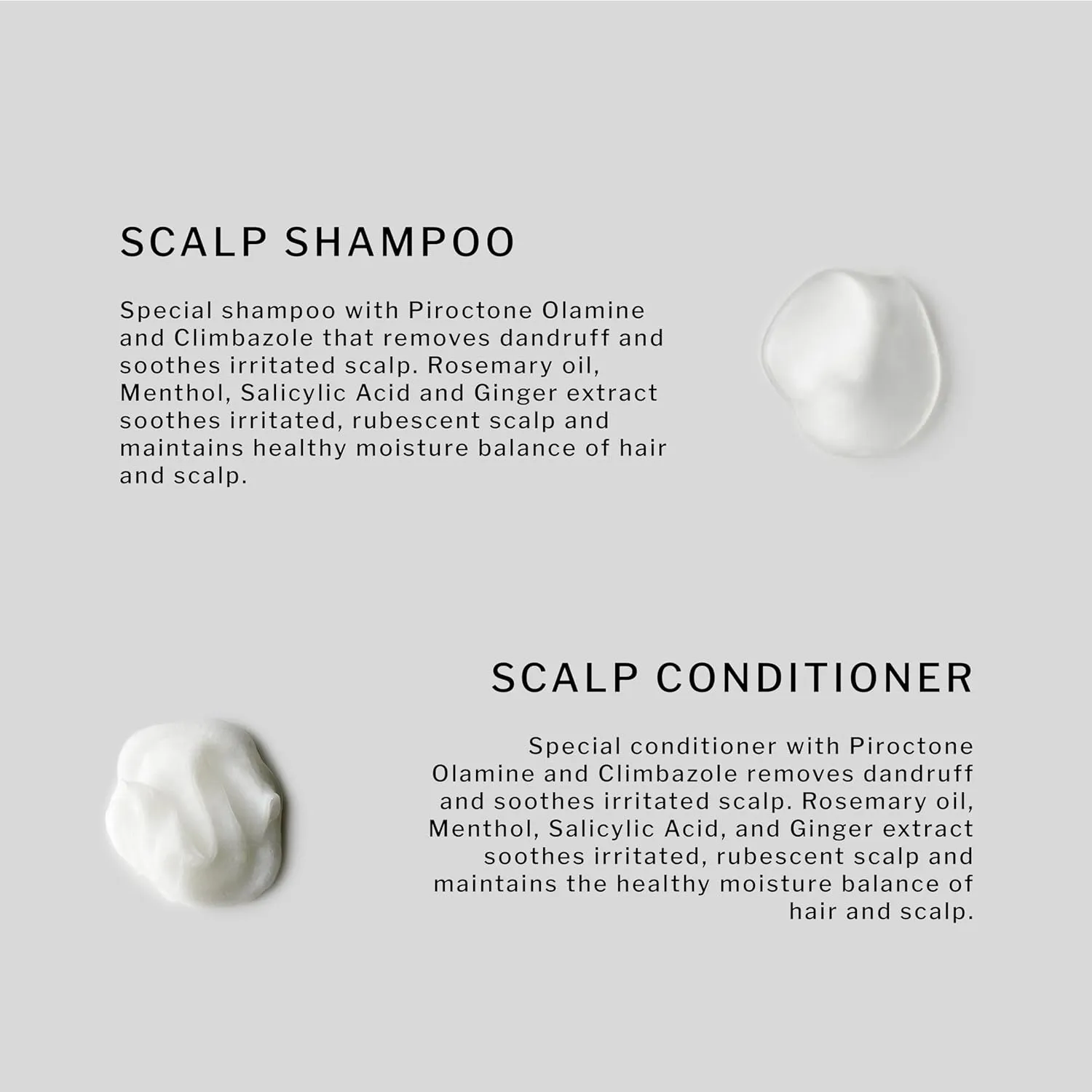 SACHAJUAN Scalp Shampoo and Conditioner Set | Itch Relief and Calming | Anti-Dandruff | 8.45oz (Pack of 2)