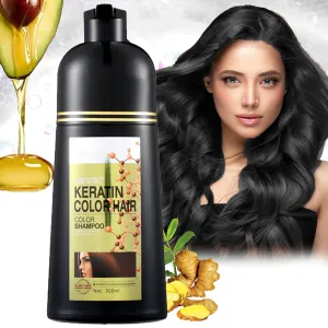 Shampoo Eterna Vida 6 En 1, Black Hair Dye Shampoo 3 In 1, Herbal Hair Dye Shampoo, Eterna Vida Color Dye Shampoo 6 In 1, Natural Plant Extract Herbal Shampoo (Black-B)