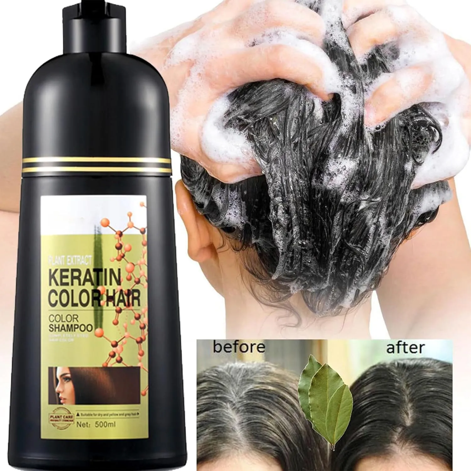 Shampoo Eterna Vida 6 En 1, Black Hair Dye Shampoo 3 In 1, Herbal Hair Dye Shampoo, Eterna Vida Color Dye Shampoo 6 In 1, Natural Plant Extract Herbal Shampoo (Black-B)