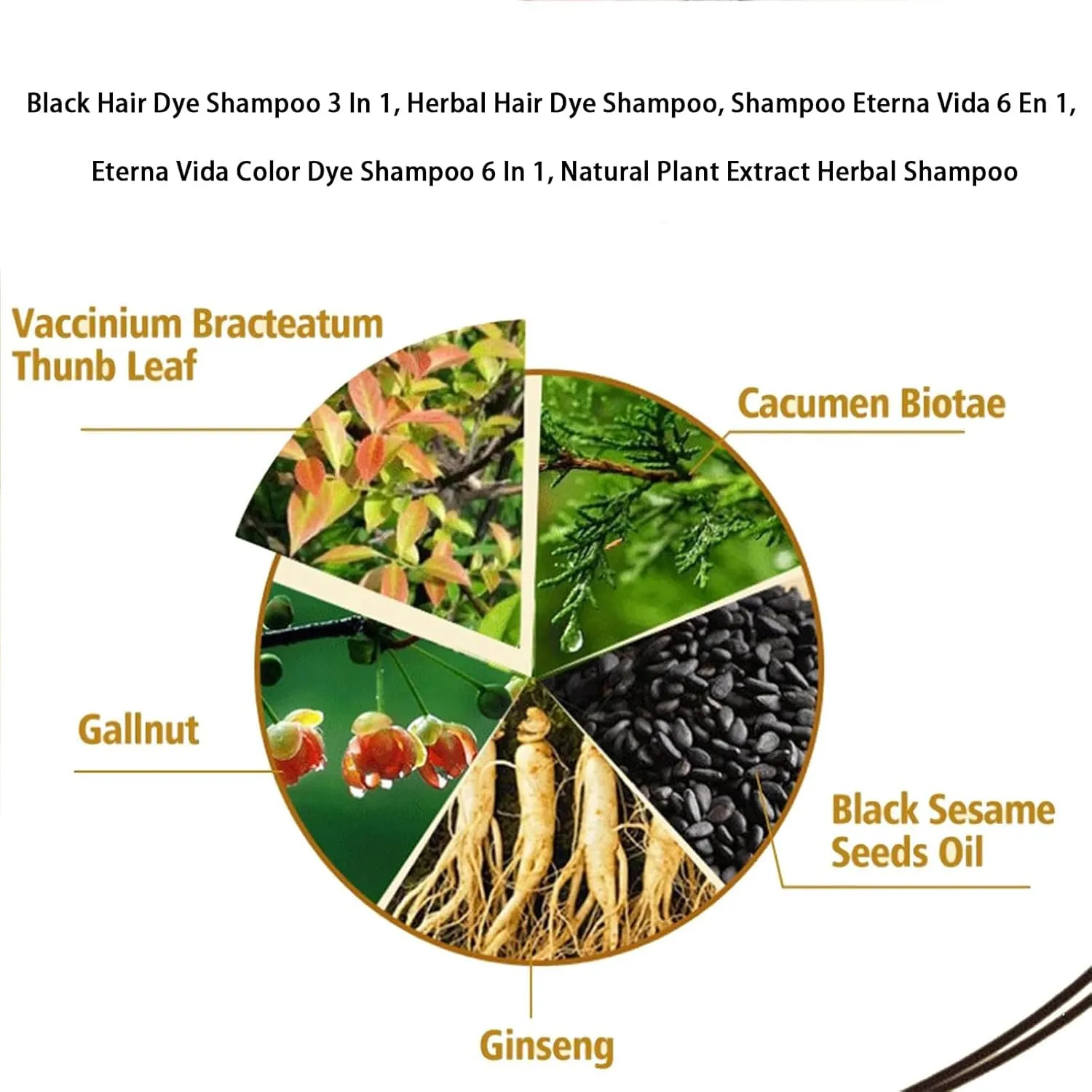 Shampoo Eterna Vida 6 En 1, Black Hair Dye Shampoo 3 In 1, Herbal Hair Dye Shampoo, Eterna Vida Color Dye Shampoo 6 In 1, Natural Plant Extract Herbal Shampoo (Black-B)