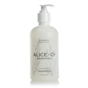 Shampoo - Fairfield by Marriott - TownePlace - SpringHill - Hotel Bath Amenities - Lavender & Eucalyptus - 8.5oz Shampoo