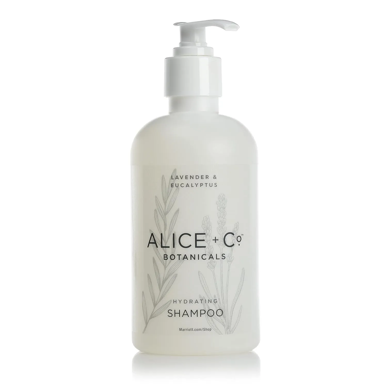 Shampoo - Fairfield by Marriott - TownePlace - SpringHill - Hotel Bath Amenities - Lavender & Eucalyptus - 8.5oz Shampoo