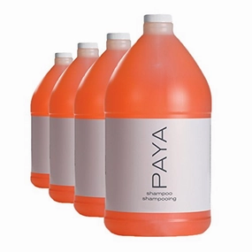 Shampoo (4 gallons/case) L8