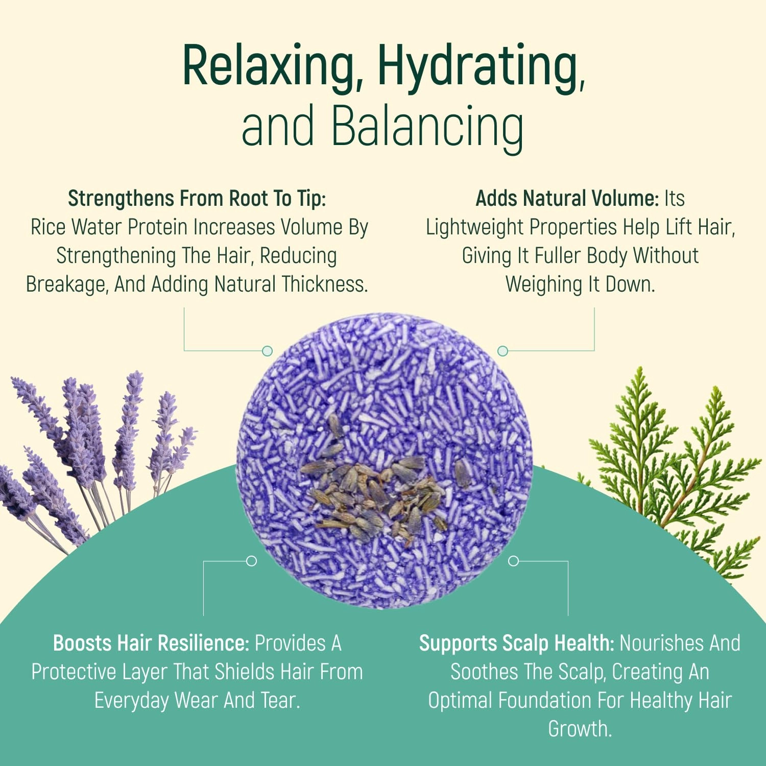 Solid Shampoo Bar And Conditioner Effect Hair Soap – 12 Pack Natural Shampoo Bars For Hair With Plant Based Essential Oils And Eco Friendly Zero Waste Biodegradable Packaging (Lavender Pack Of 12)