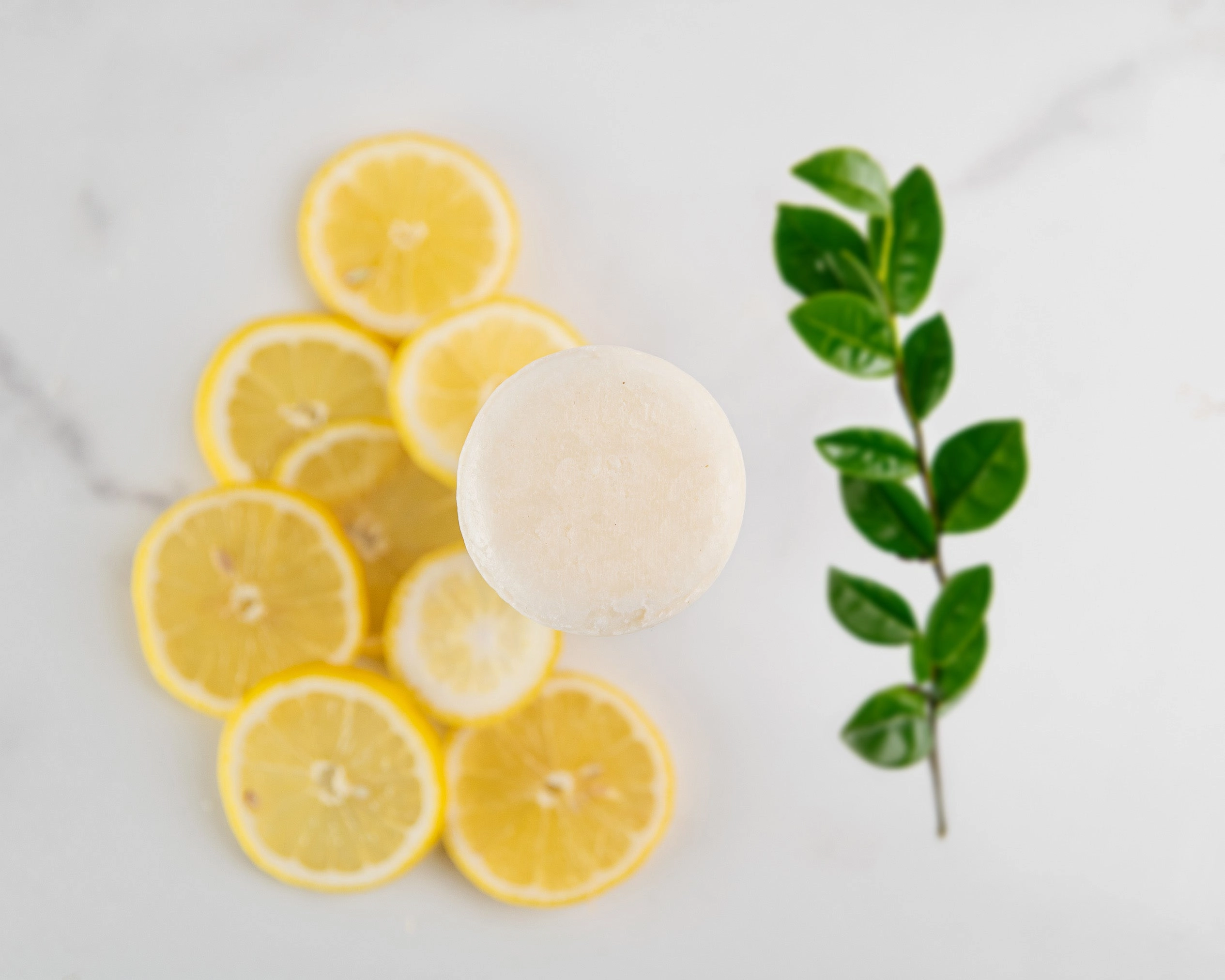 Sulfate-Free Shampoo Bar (Duo)