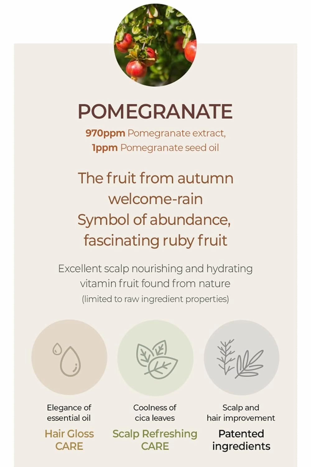 TheMogan True.LAB Botanic Pomegranate Shampoo Natural Damaged Hair Nutrition Care, Essential Oil & Plant Based Protein 470ml